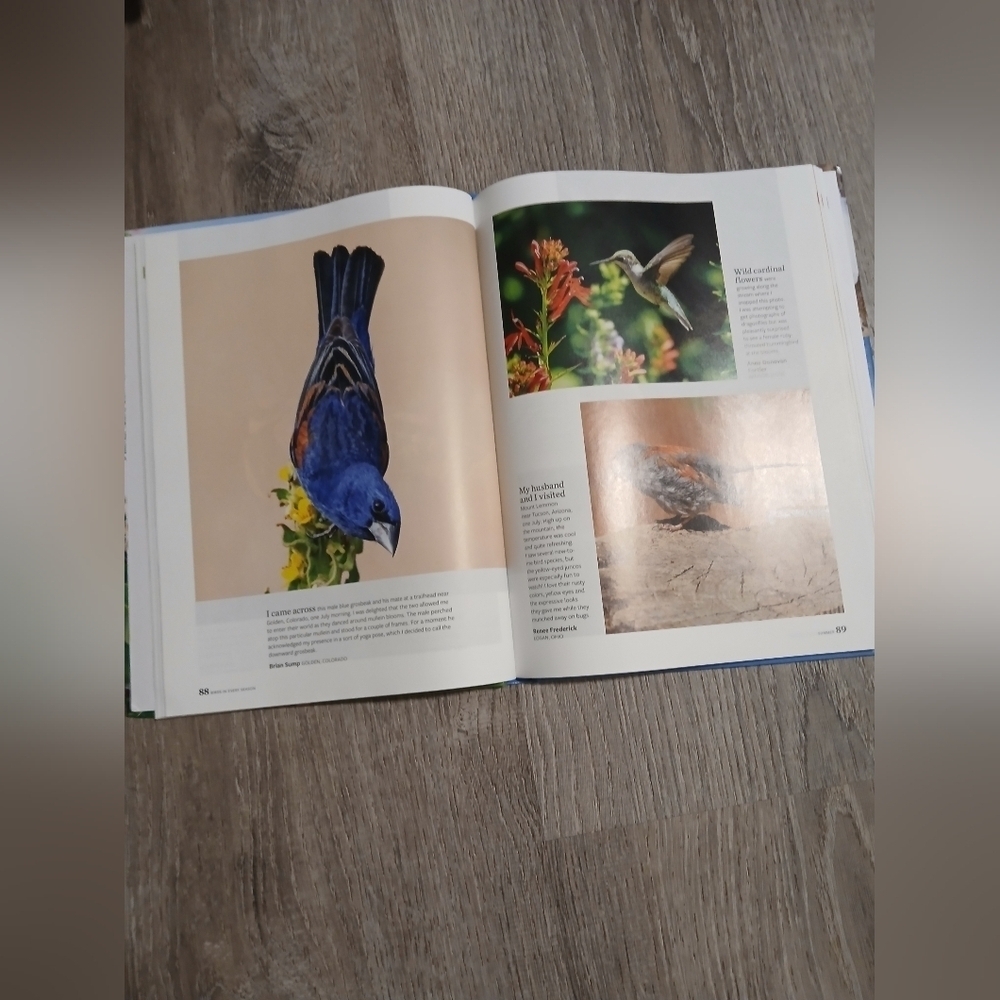 'Birds in Every Season' Book - By Birds And Bloom. 300+ Bird Photos. - Picture 3 of 7